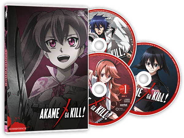 Have You Ever Wanted To Drive With Battle Music Blasting - Akame Ga Kill 3d Lenticular Wall Art Poster With Frame (612x458), Png Download