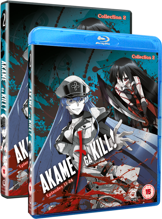 Mang5752 Dvd Akame Ga Kill 2 3d - Akame Ga Kill - Collection 2 (530x795), Png Download