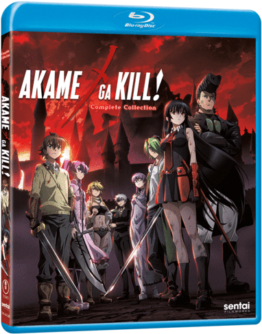 Akame Ga Kill! (562x600), Png Download