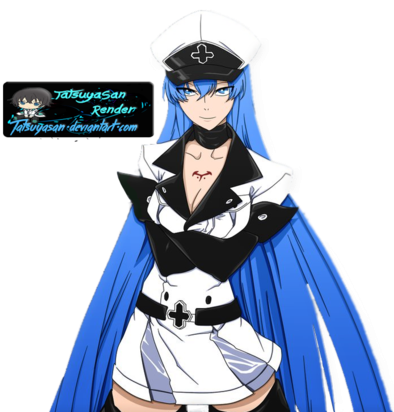 Luxury Akame Ga Kill Mine Wallpaper Es Akame Ga Kill - Akame Ga Kill Esdeath Render (400x411), Png Download
