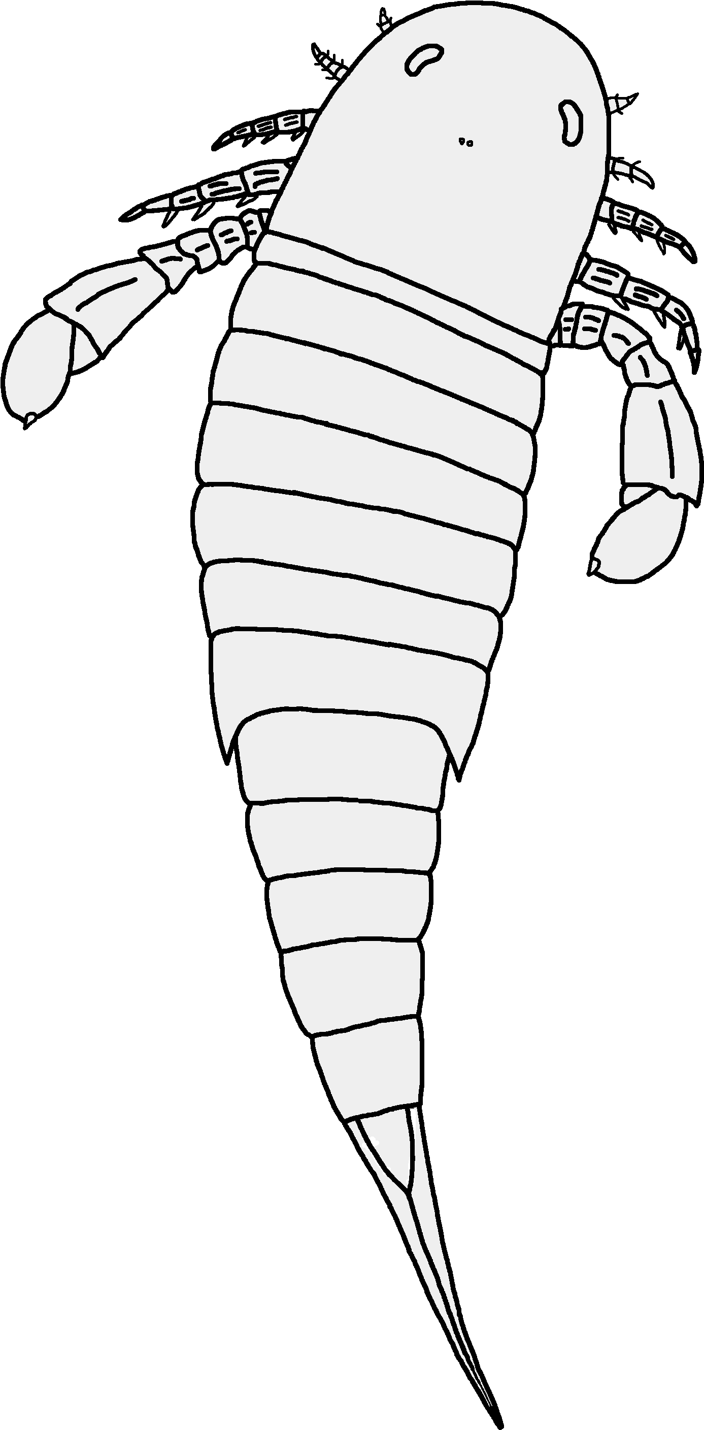 Nanahughmilleria Norvegica Restoration - Line Art (1824x3012), Png Download