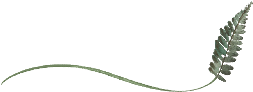 Spring Flowers, Autumn Leaves, Grapes Wispy Fern Leaf - Grape (519x346), Png Download