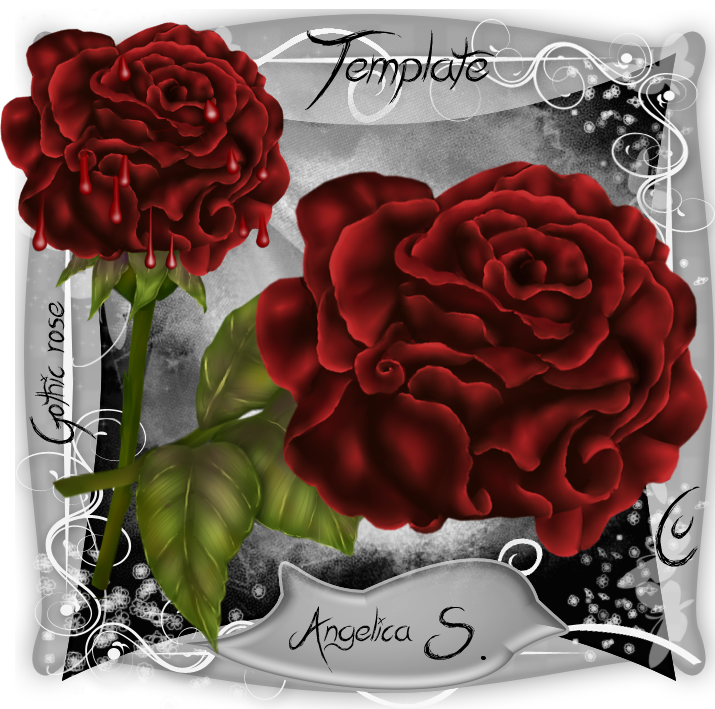 Gothic Rose Template - Garden Roses (715x709), Png Download