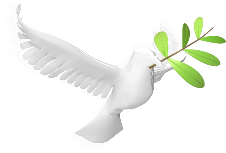 Dove With Olive Leaf 800 Clr - Holy Spirit With Leaf (800x539), Png Download