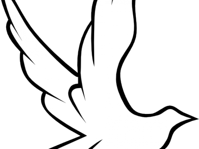 Dove Vector - Dibujo De Paloma Rosa (640x480), Png Download