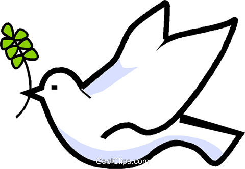 Dove With An Olive Branch In Its Mouth Royalty Free - Espirito Santo Vetor Png (480x332), Png Download