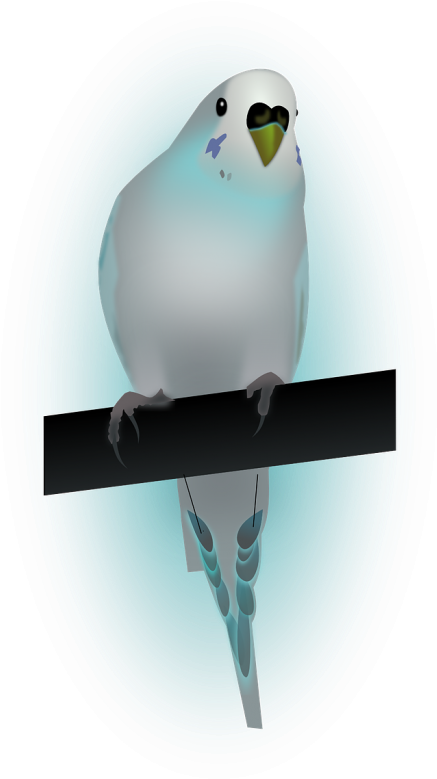 Bird,dove,dove Of Peace,peace - Paloma De La Paz España (500x876), Png Download