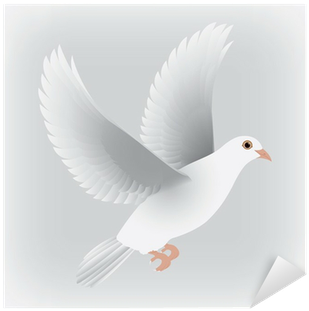 European Herring Gull (400x400), Png Download