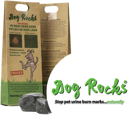 Featured Products - Dog Rocks (457x463), Png Download