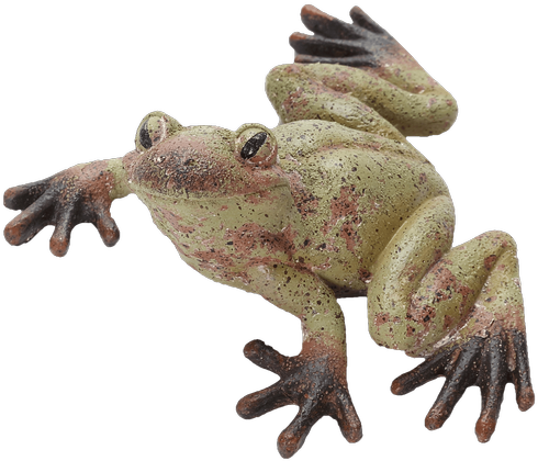 Resin Rustic Green Frog Fig - Eastern Spadefoot (500x611), Png Download