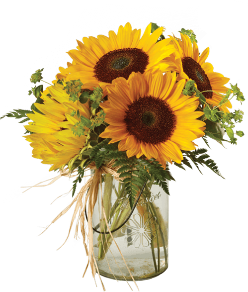 Sunshine, Large - Sunflower In Jar Png (500x611), Png Download