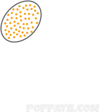 Flowers Sunflower - Flower (500x500), Png Download