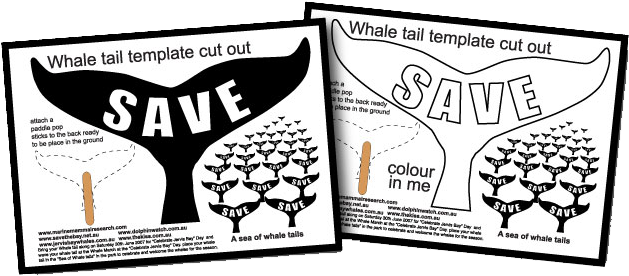 The Whale Tail Template Is Available To Download - Whale Tail (664x309), Png Download