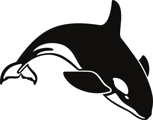 Cartoon Whale Png - Killer Whale Throw Blanket (600x472), Png Download