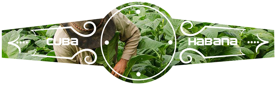Don Gonzalez One Of Our Premiere Cigar Vendors, Now - Herbal (1200x400), Png Download