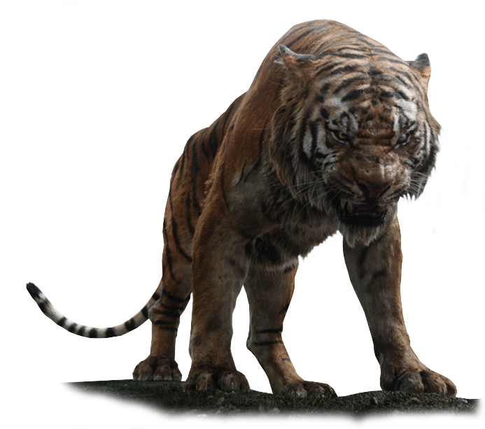 Tiger Jungle Book - Jungle Book 3d 2016 (693x613), Png Download