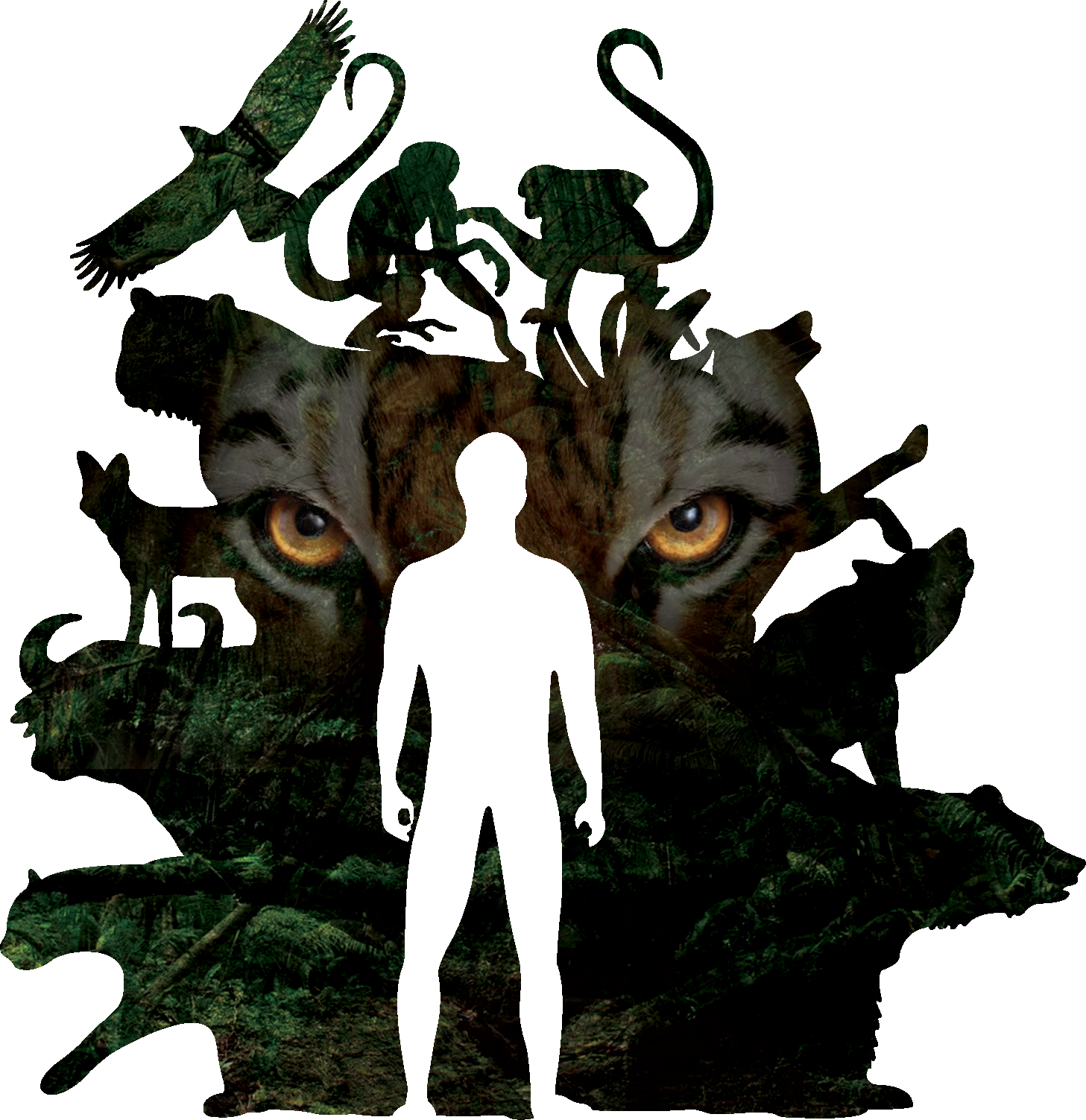 Illustrationzz - Cover Art (1457x1503), Png Download