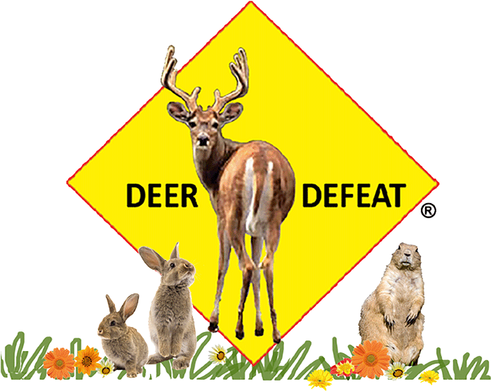 2018 Deer Defeat® - Exotic Nutrition Willow Ball (700x605), Png Download