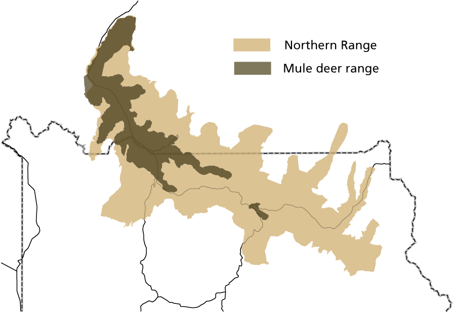 Map Of The Northern Part Of The Park, Showing The Mule - Distribution Of Elk In Yellowstone (960x644), Png Download