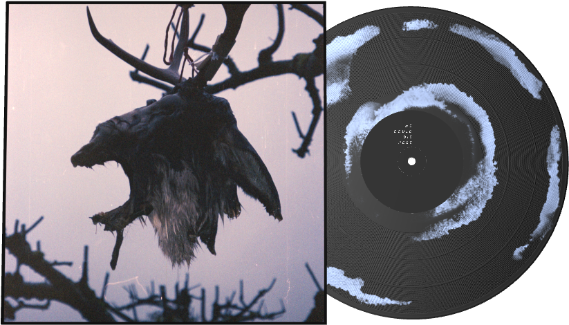 Elk (1326x677), Png Download