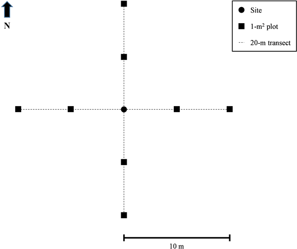 Habitat Sampling Scheme At White Tailed Deer Fawn Birth - Diagram (900x506), Png Download