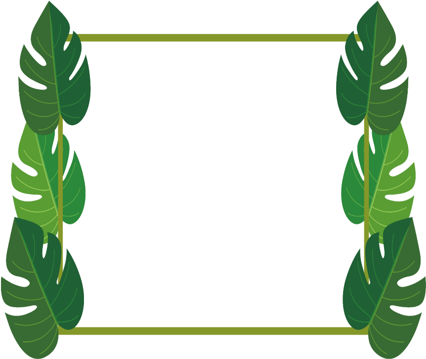 Mq Leaf Leaves Frame Frames Palm - Picture Frame (1024x1024), Png Download