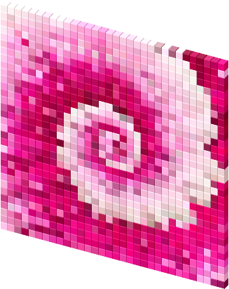 View Cursor On T-shirt - Rose (330x418), Png Download