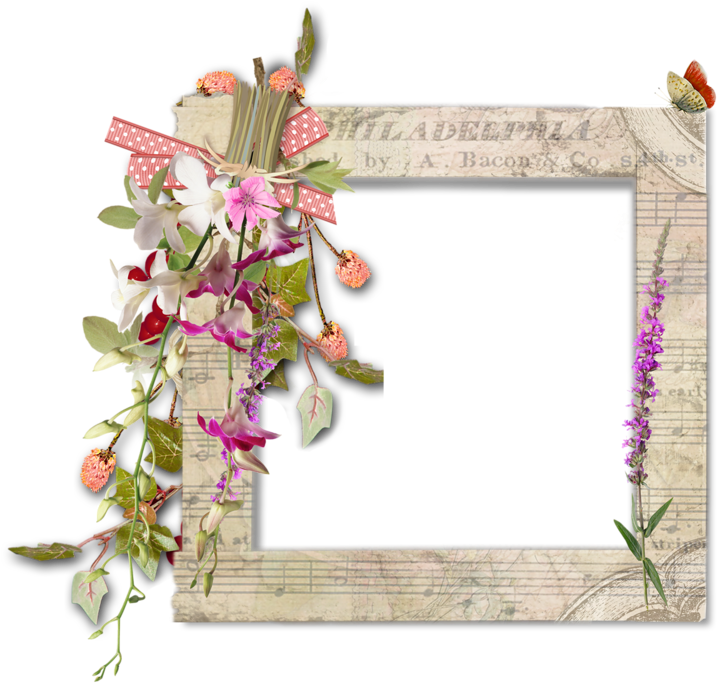 Cadres Et Bordures - Picture Frame (800x720), Png Download