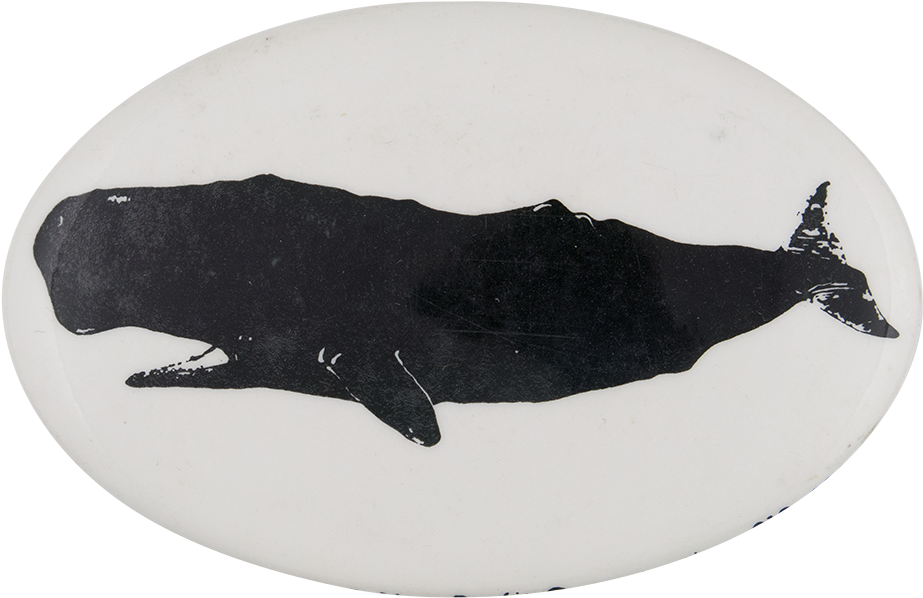 Greenpeace Sperm Whale - Manatee (1000x672), Png Download