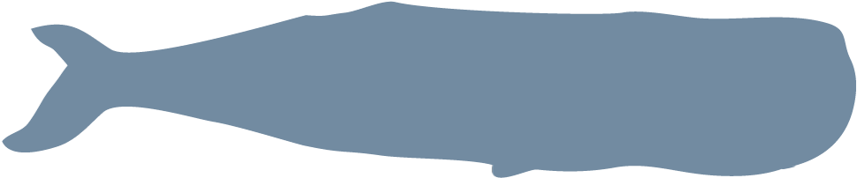 Sperm Whale 45 T / 40800 K (1000x214), Png Download