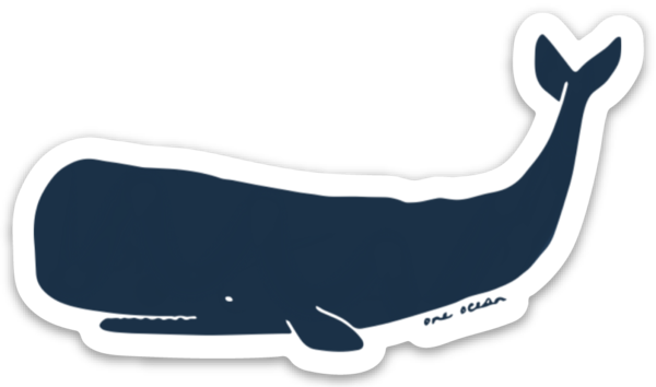 Sperm Whale (600x354), Png Download