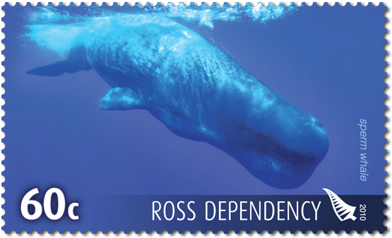Product Listing For 2010 Ross Dependency Whales Of - Jpeg (600x600), Png Download