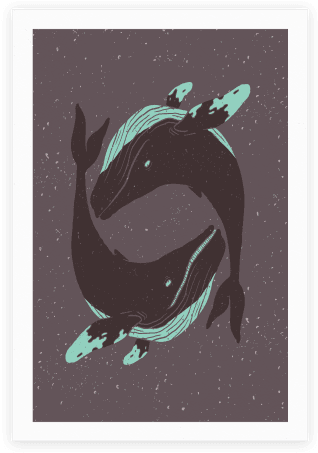 The Circle Of Whales Poster - Whales (484x484), Png Download