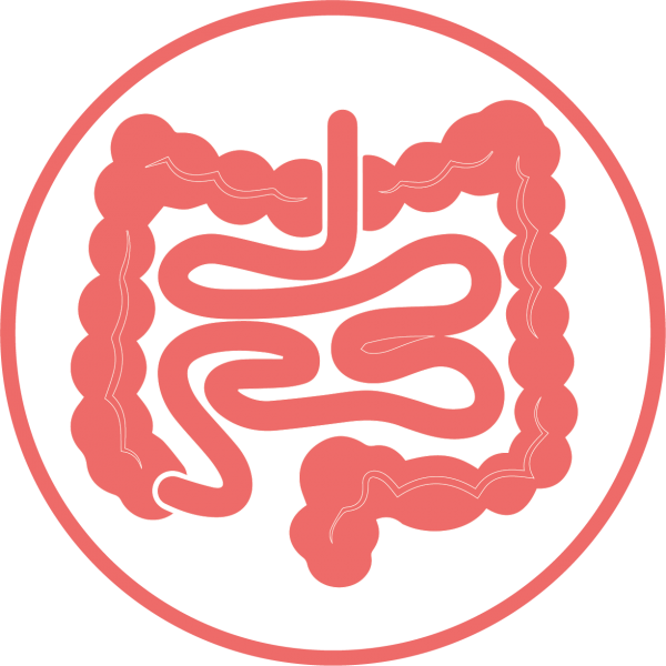 Gut Brain Love Axis (600x600), Png Download