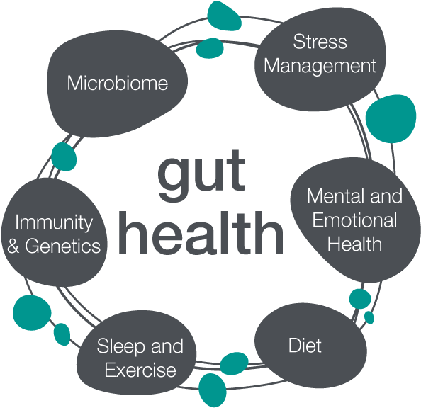 Contact Us To Make An Appointment - Gut Health Affects Sleep (600x600), Png Download