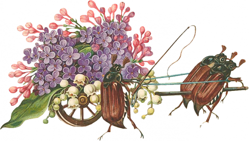 Vector Flowers, Vintage Flowers, Rubrics, Lilies, Vintage - Vintage Flowers (500x284), Png Download
