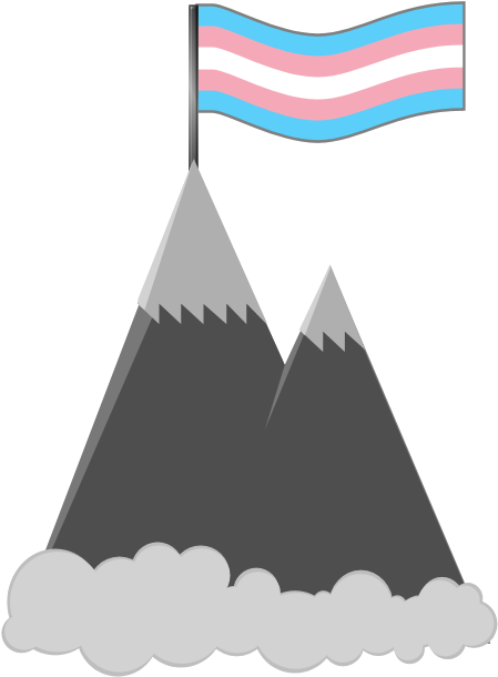 Finally Planted A Flag At Peak Trans - Flag (700x700), Png Download