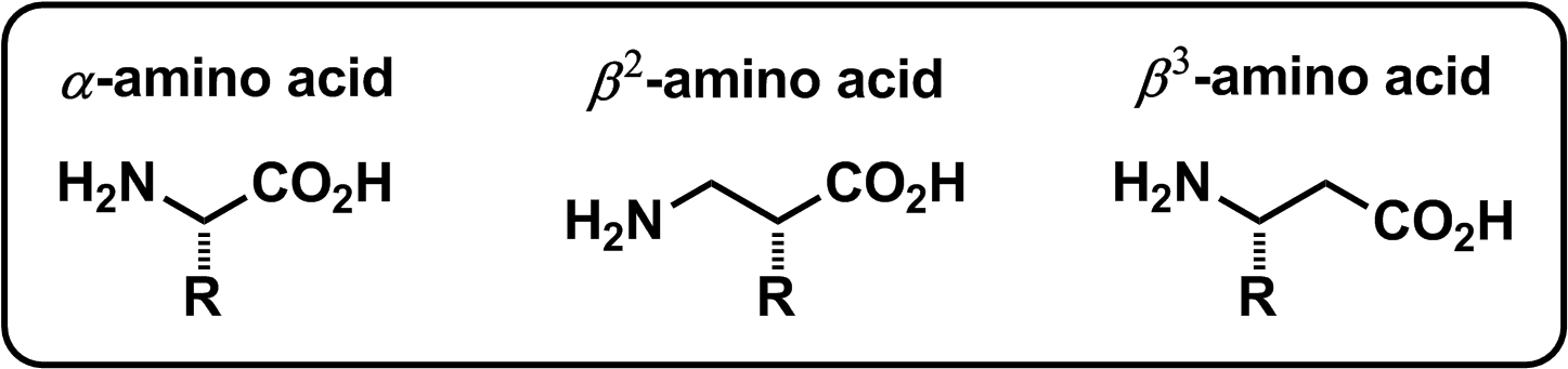 There Is A Number Of Ways To Make Beta-3 Amino Acids - Benzoin Condensation (1464x357), Png Download