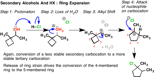 This Type Of Alkyl Shift Commonly Gives Students A - Go From Cyclobutane To Cyclopentane (534x271), Png Download