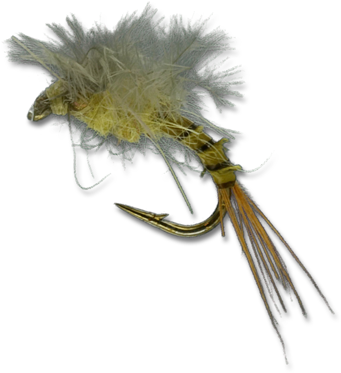 Bat Wing Emerger - Fish Hook (800x800), Png Download