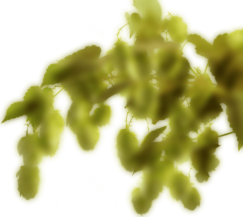 Hop Right Back Min - Tree (840x748), Png Download