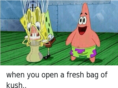 Fresh, Mfw, And Spongebob - Juice Wrld Memes Spongebob (400x319), Png Download