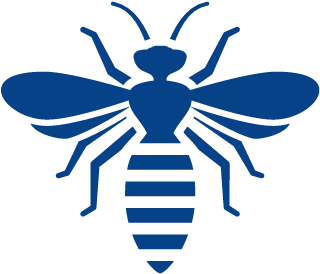 Stinging Insects Hornets Carpenter Bees & Wasp - White Bee Png (400x400), Png Download