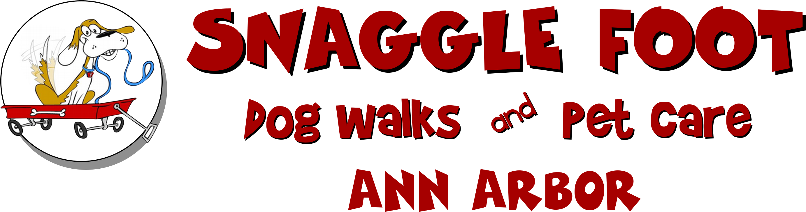 Ann Arbor, Mi Dog Walkers And Pet Sitters - Pet Sitting (3000x999), Png Download