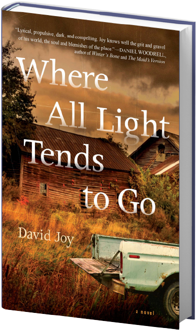 Fiction - All The Light Tends To Go (612x792), Png Download