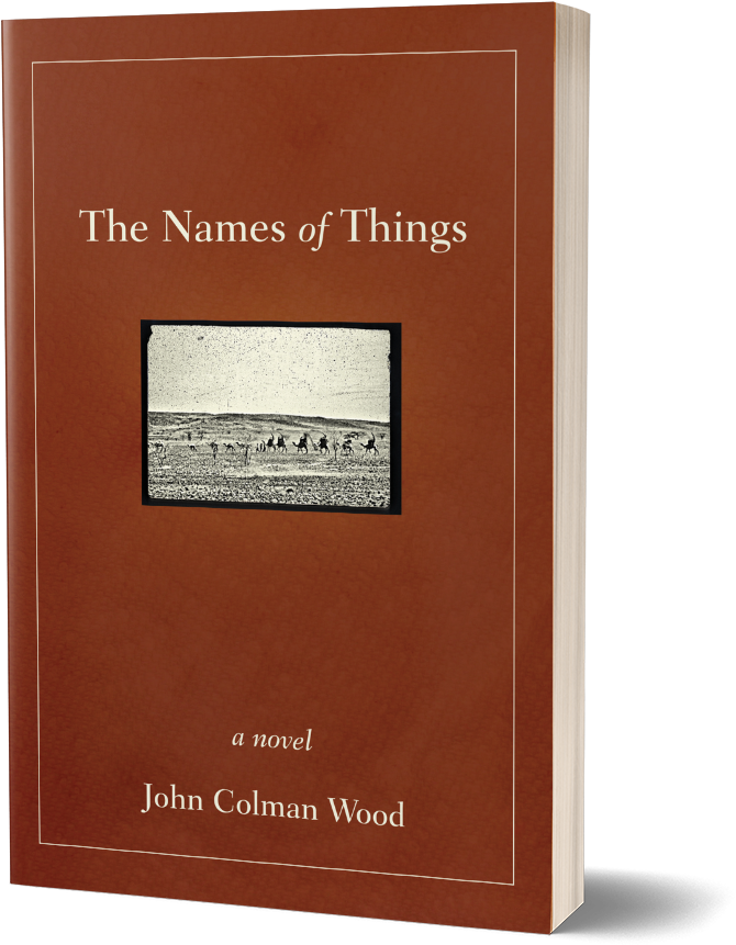 Cover Of The Names Of Things - Names Of Things By John Colman Wood (800x961), Png Download