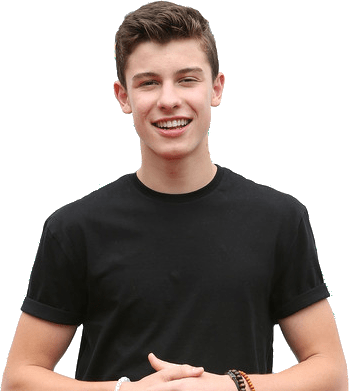 Music Stars - Shawn Mendes Blonde Hair (349x391), Png Download