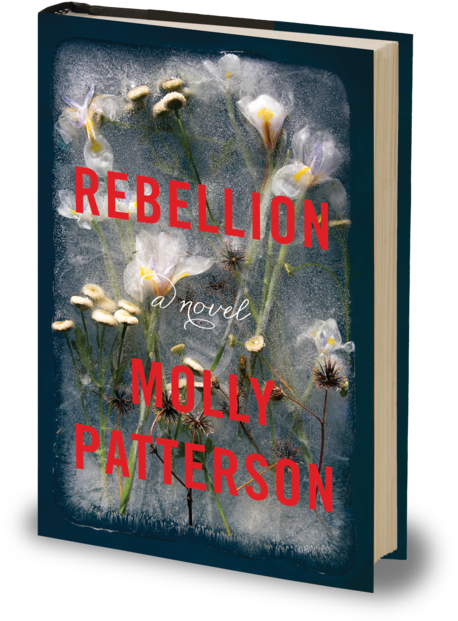 That It Would Be Difficult To Find An Agent And Even - Molly Patterson Rebellion (500x652), Png Download