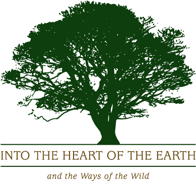 Tree Silhouettes Clipart - Dark Green Tree Clipart (470x448), Png Download