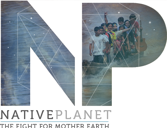 Np Footer Logo@2x - Poster (542x416), Png Download